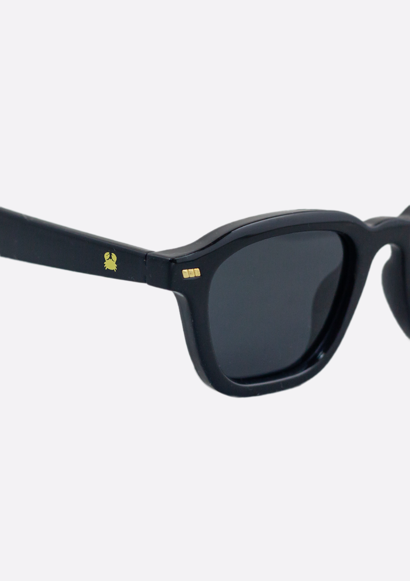 SUNGLASSES | NEDA SHINY BLACK